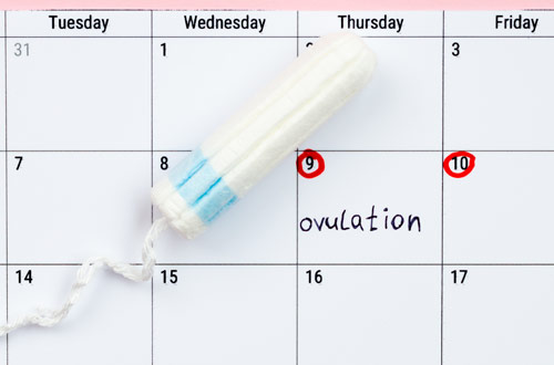 Ovulation